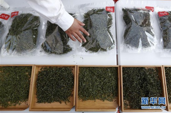 #（社会）（1）安徽黄山：徽州民间斗茶香
