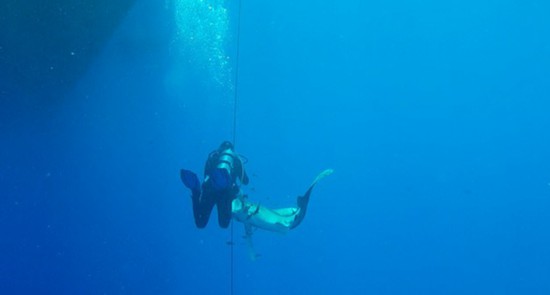 驚險！奧地利男子紅海潛水被鯊魚咬腿死裡逃生