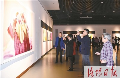 《国色·花语》王昆峰摄影作品展开展