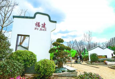 “铁树开花”亮相世园会福建园