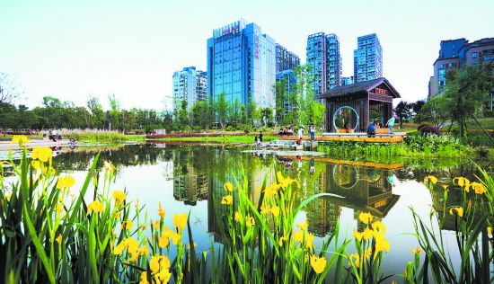 原标题:"公园城市"描绘城市发展蓝图 美丽的金沙滨河公园记者张青青