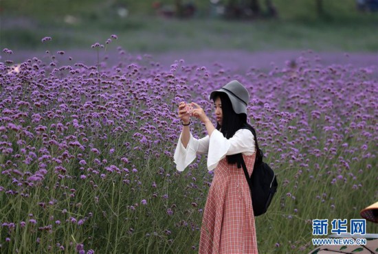 ����ᣩ��3������ӭ����