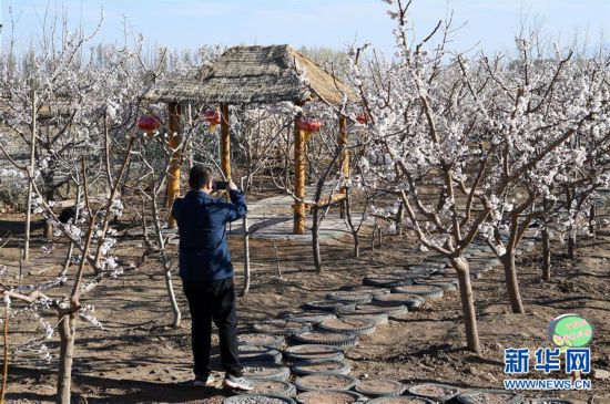 ��������ˡ�ͼ�Ļ�������4����������ǰͥ��Ժ���ʫ���ܾ� 