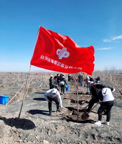 新疆福彩公益植樹5