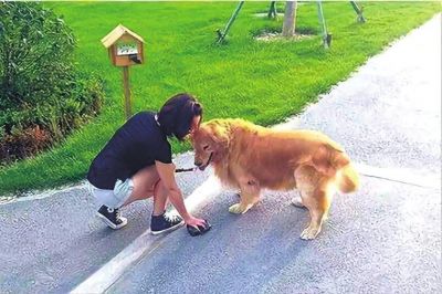 文明养犬营造和谐健康人居环境