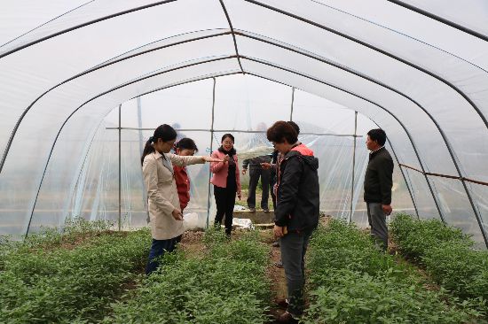 江西省侨联举办迎五四展青春风采献爱心聚侨创力量系列活动