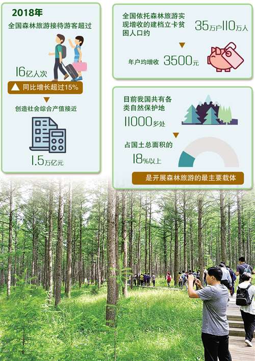 产品单调雷同、特色不足森林深度游还缺啥？
