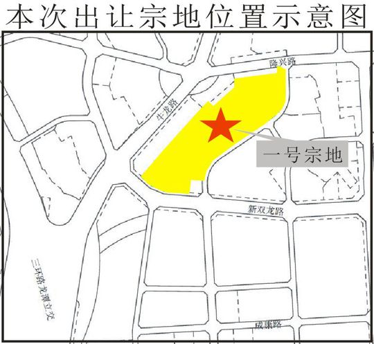 四龙村人口_人口普查(3)