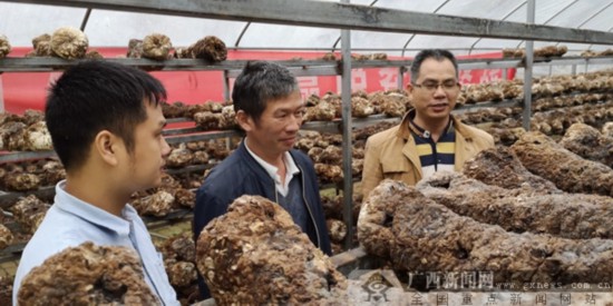 点击图片查看详情 荔浦人口_新华网-荔浦县网(3)