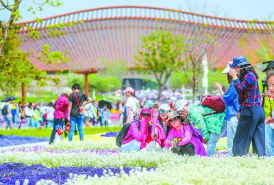 北京世园会园区内百花绽放景色绚丽