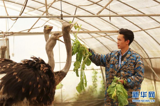 #（經濟）（1）特色養殖助脫貧