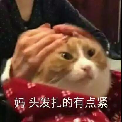 %u4F2F%u7235%u4EE5%u4F18%