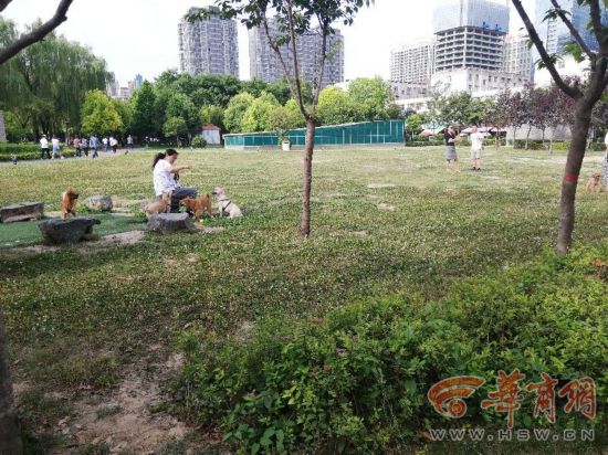 5月里有一天西安37人打狂犬疫苗夏天来了请一定拴好你的狗