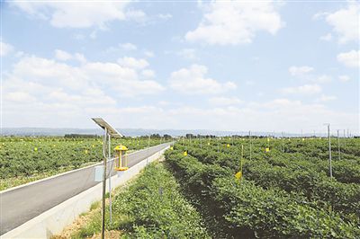 越州镇人口_越州镇