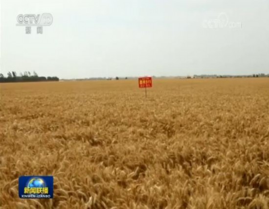 全国夏收加快推进 藏粮于技提高粮食产能
