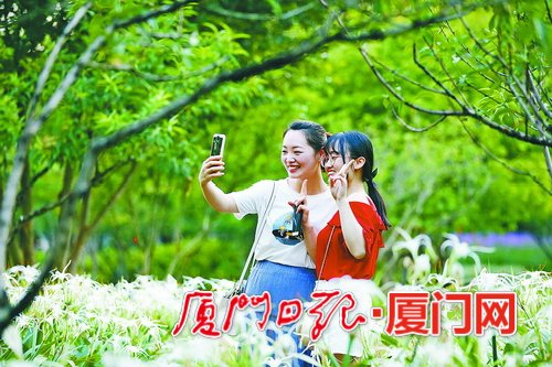 文化游親水游休吉利彩票閑游假期廈門旅游人氣旺