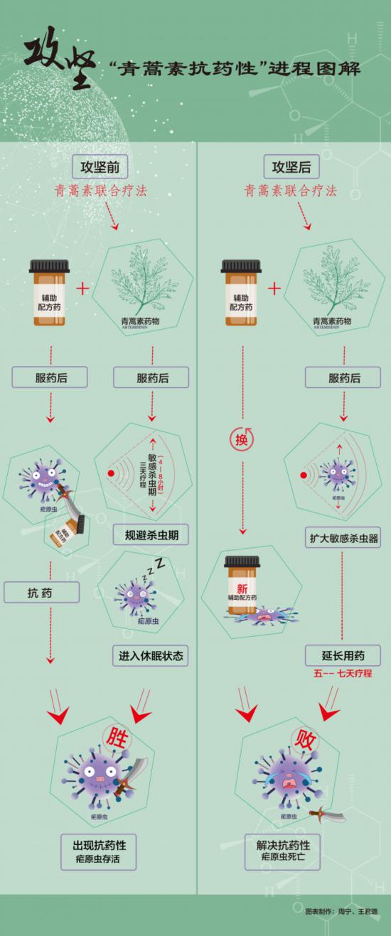 屠呦呦团队“青蒿素抗药性”等研究获新突破 获得世界卫生组织和国内外权威专家的高度认可