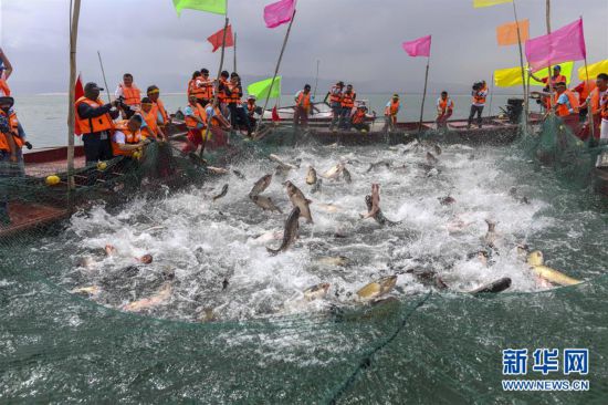 （经济）（1）中国最大内陆淡水湖迎来开湖季