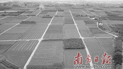 南沙节约集约用地 获国务院大督查通报表扬