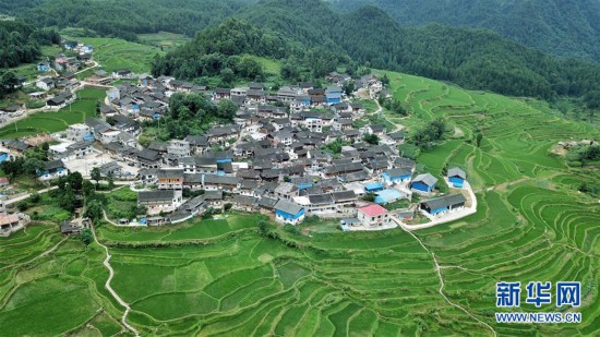 (环境)(2)仲夏梯田景如画
