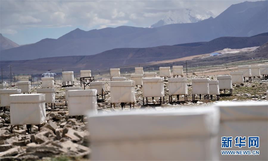 （圖文互動）（3）科學家發現迄今最高能量的宇宙伽馬射線 有助於揭示宇宙中極端天體性質