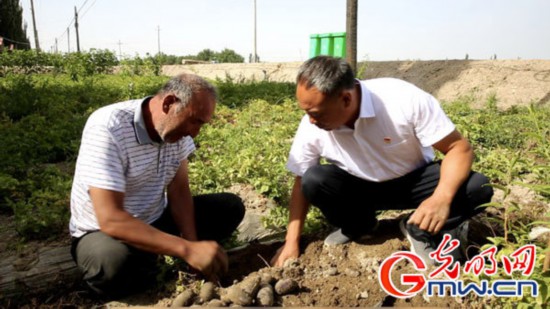 “麦盖提好人”黄英杰:实事求是 为老百姓利益着想