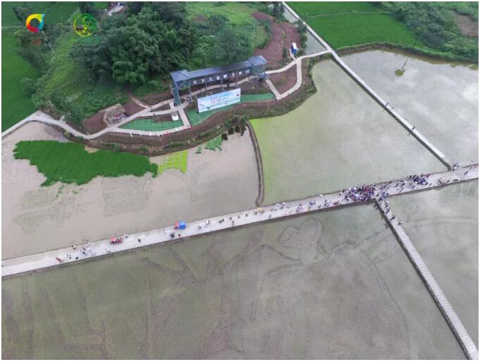 2019������¡ƽ�����԰����70�������Բ���ٰ�