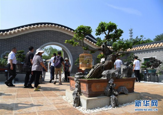 (北京世园会)(1)北京世园会迎来“广东日”