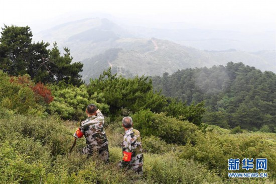 （图片故事）（2）发鸠山上的34年守护