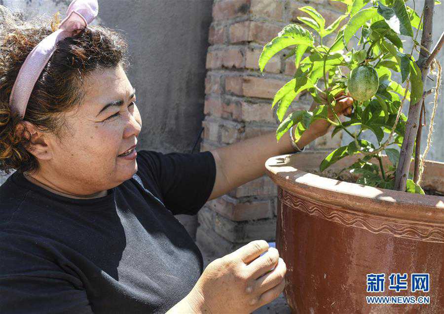 ���»�ȫýͷ����ͼ�Ļ�������12��ͬ��Ԯ������׳�������������