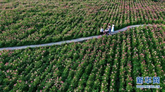 �������й�����4��С�ǻ���������