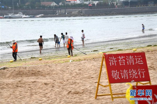 (社会)(4)青岛:清理海滩迎客来