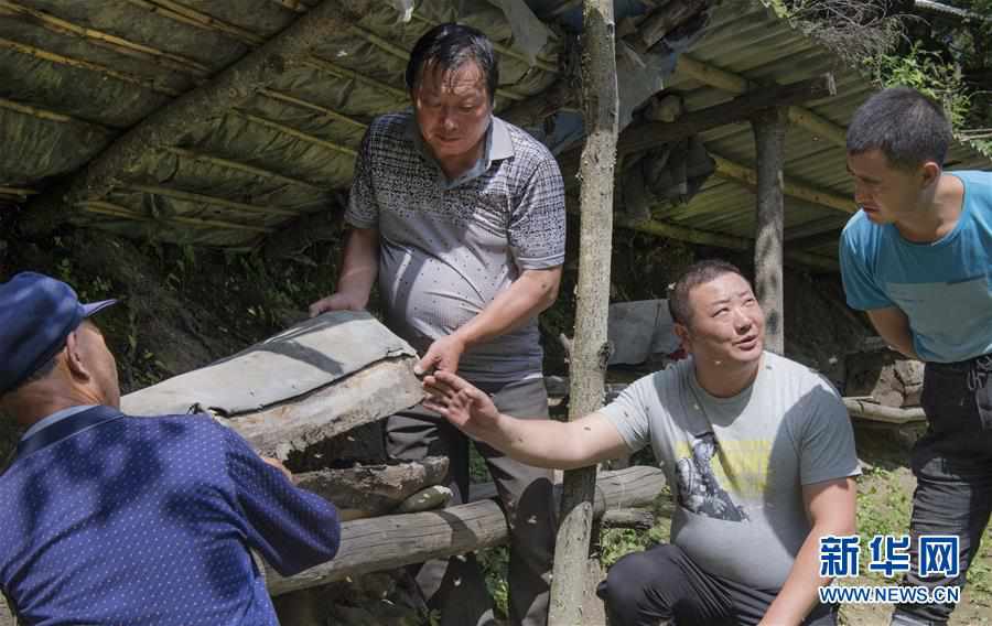 （壯麗70年·奮斗新時代）（5）五代人不忘初心 七十載深耕林海