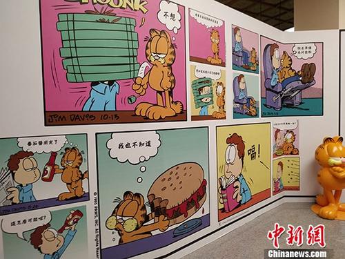 台湾写真：“喵星人”也疯狂