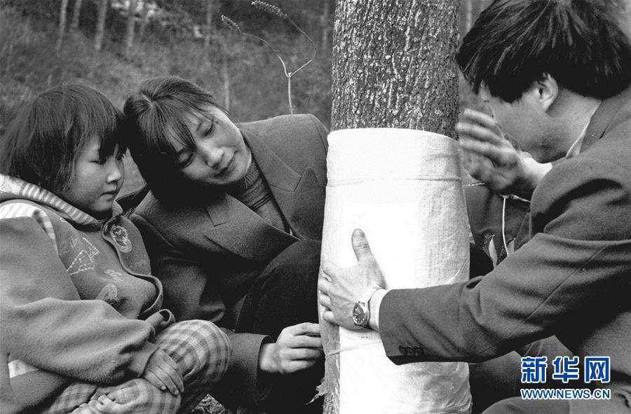 （壯麗70年·奮斗新時代）（13）五代人不忘初心 七十載深耕林海