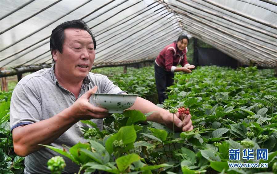 （壯麗70年·奮斗新時代）（6）五代人不忘初心 七十載深耕林海