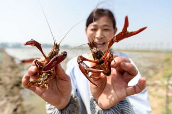 奮斗逐夢江蘇書寫高水平全面小康時代答卷