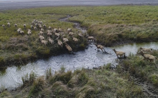 奮斗逐夢江蘇書寫高水平全面小康時代答卷