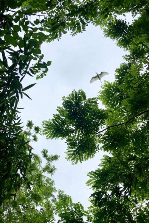 奮斗逐夢江蘇書寫高水平全面小康時代答卷