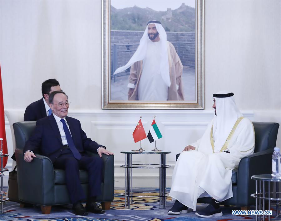 CHINA-BEIJING-WANG QISHAN-UAE-RECEPTION (CN)