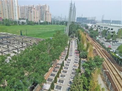 小区附近现墓地 民政部门称未经审批