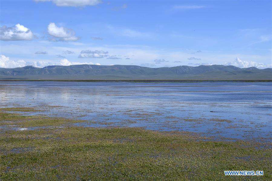 CHINA-GANSU-GANNAN-GAHAI LAKE-ECOLOGY (CN)