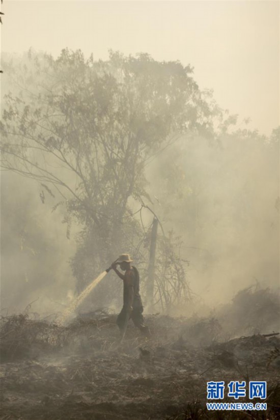 （國際）（4）印度尼西亞林火肆虐