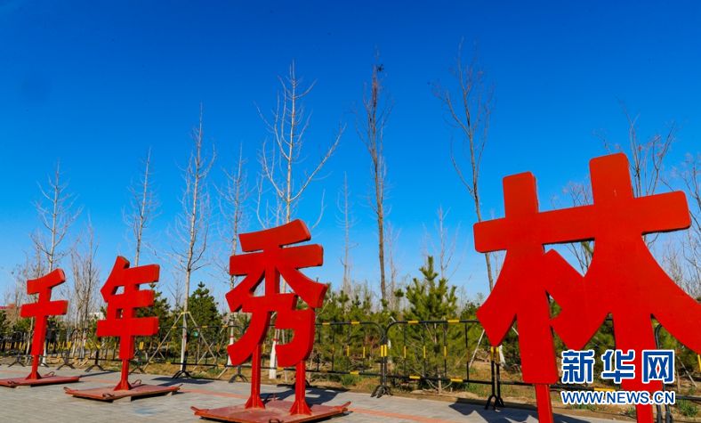 【瓣瓣同心·协同五年谱新篇】打好蓝绿交织底色！绿色、智慧雄安正迅速崛起