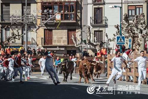 《使徒行者2》上映解密五大看点