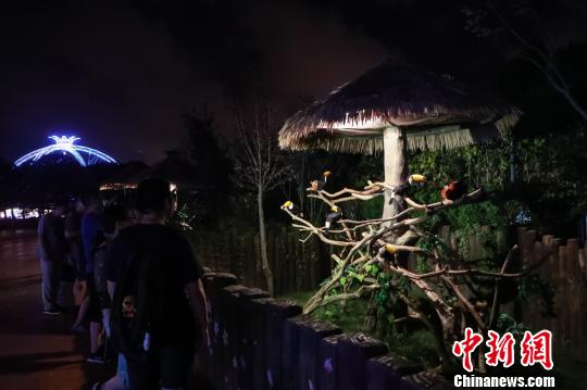 特色夜间野生动物园上海试迎客推动夜间经济发展