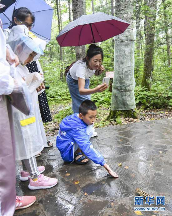 （社会）（5）黑龙江伊春：消夏旅游热