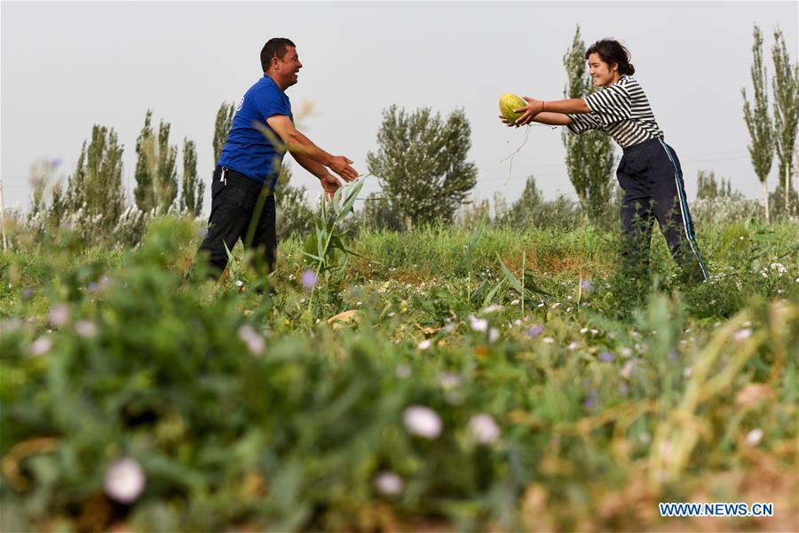 CHINA-XINJIANG-KASHGAR-CANTALOUPE (CN)