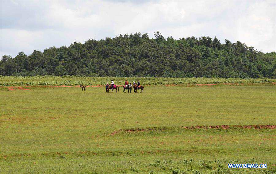 CHINA-YUNNAN-BEIDAYING-GRASSLAND (CN)