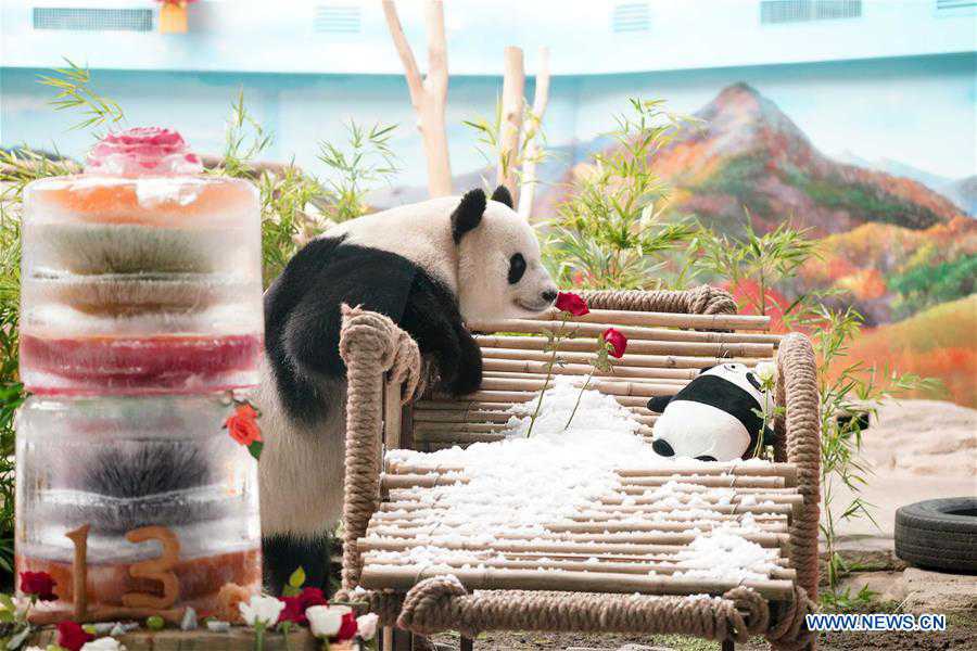 CHINA-HEILONGJIANG-GIANT PANDA-BIRTHDAY (CN)